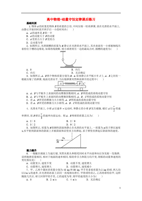 高中物理--动量守恒定律课后练习