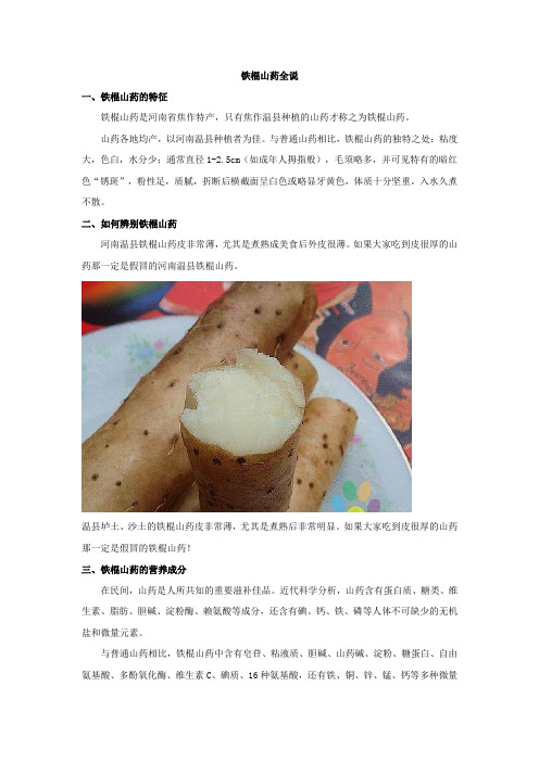 一片关于铁棍山药全说