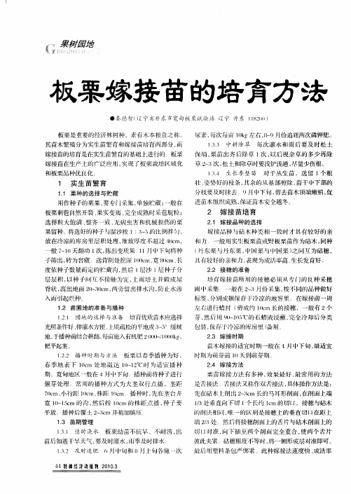 板栗嫁接苗的培育方法