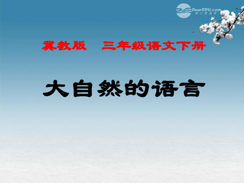 三年级语文下册 大自然的语言2 课件 冀教版