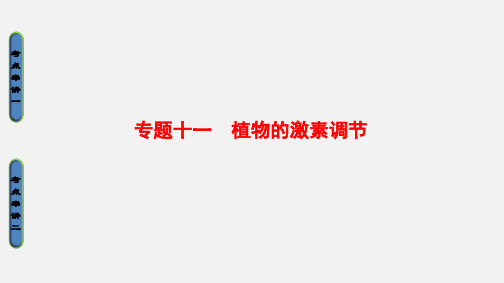 高考生物 二轮复习 第1部分 板块3 调节 专题11 植物的激素调节