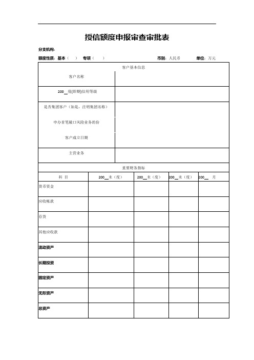 授信额度申报审查审批表 模版