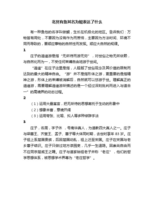 北冥有鱼其名为鲲表达了什么