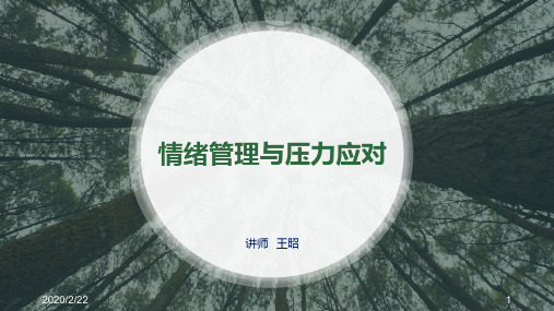 情绪管理与压力应对PPT课件