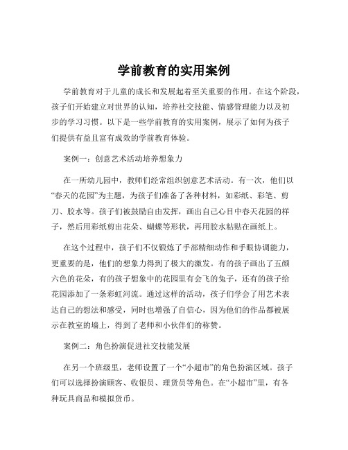 学前教育的实用案例