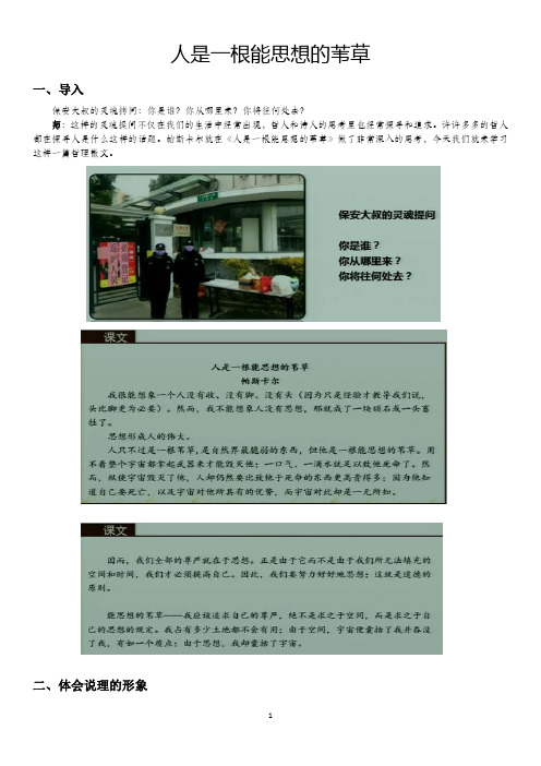 《人是一根能思想的苇草》全国赛课一等奖 课堂实录