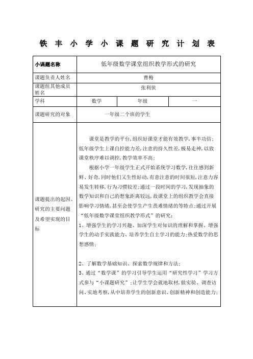 一年级数学小课题研究计划表