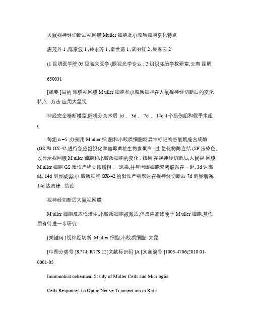 大鼠视神经切断后视网膜Muller细胞及小胶质细胞变化特点