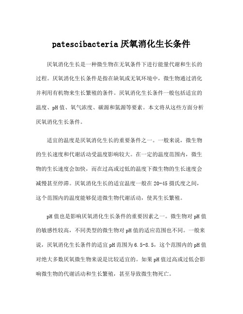 patescibacteria厌氧消化生长条件