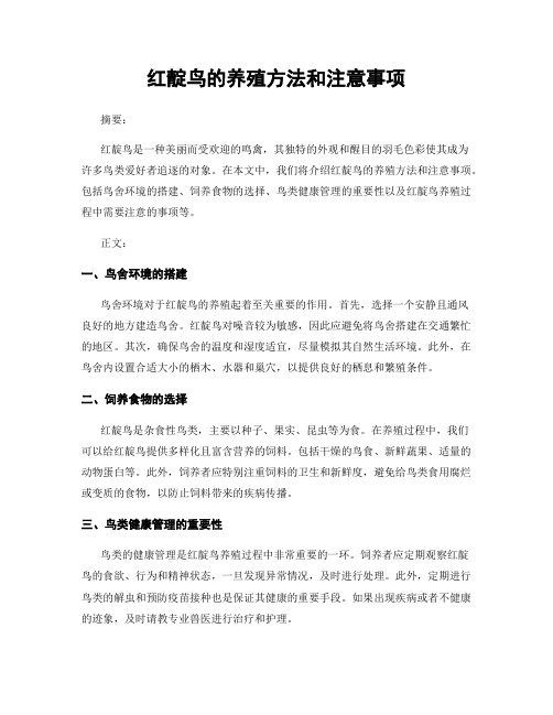 红靛鸟的养殖方法和注意事项