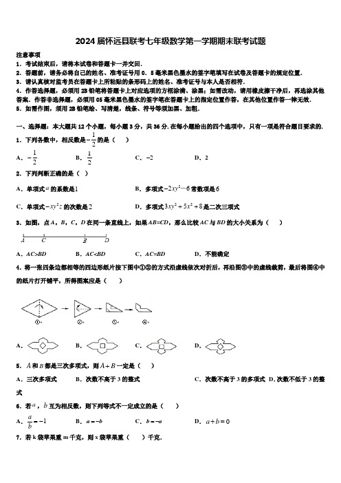 2024届怀远县联考七年级数学第一学期期末联考试题含解析