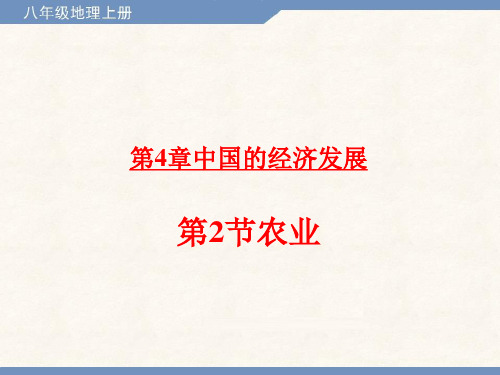 八年级地理上册 第4章 中国的经济发展 4.2 农业课件