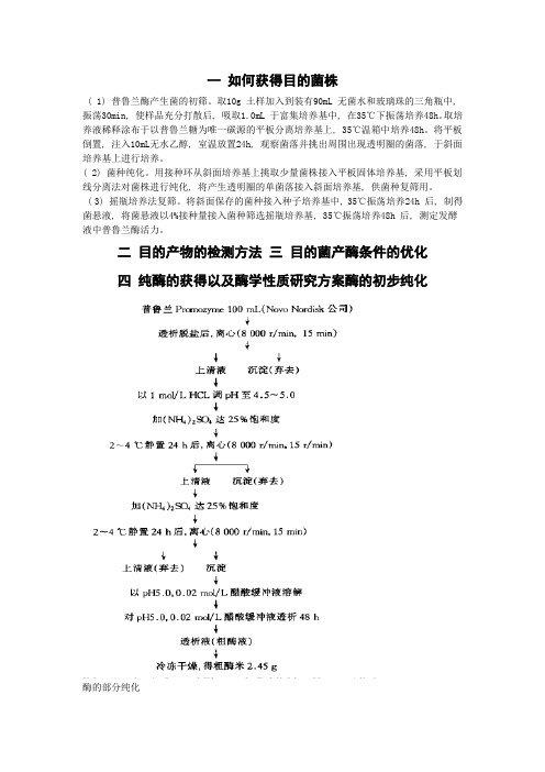 普鲁兰酶性质的研究