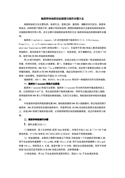 脂质体转染的实验原理与操作步骤大全