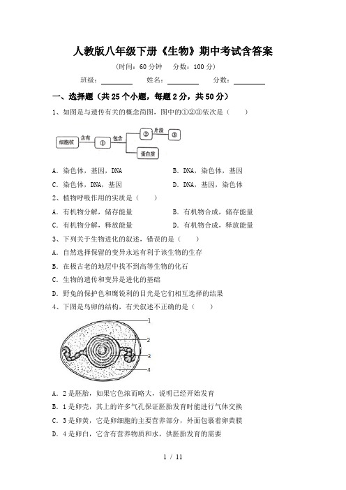 人教版八年级下册《生物》期中考试含答案