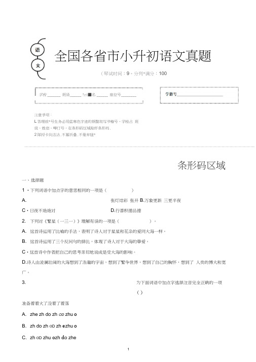 【小升初】2020年湖南省衡阳市小升初语文毕业会考试题含答案(全网唯一)