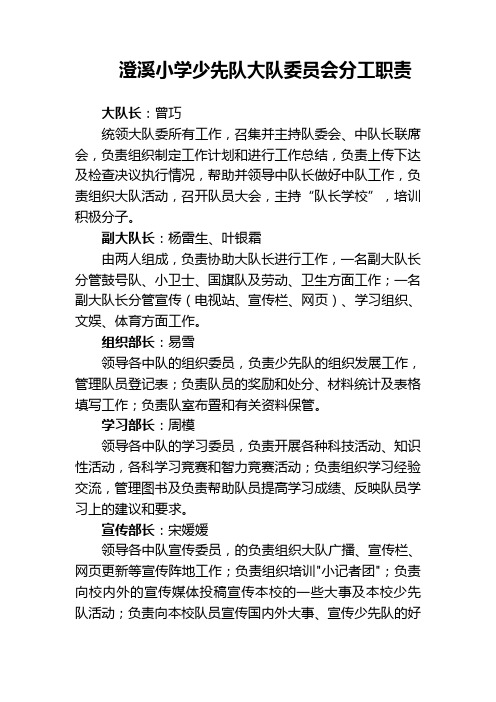 澄溪小学少先队大队委员会分工职责