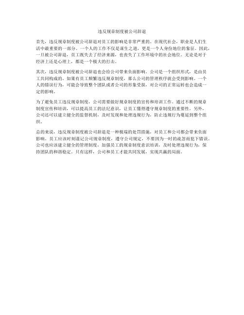 违反规章制度被公司辞退