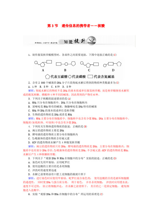 高中生物2.3遗传信息的携带者-核酸知能提升新人教版必修1