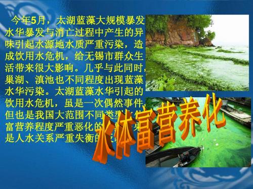 环境化学 第二节水体富营养化