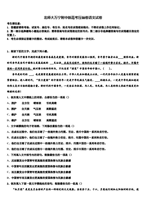 北师大万宁附中新高考压轴卷语文试卷及答案解析