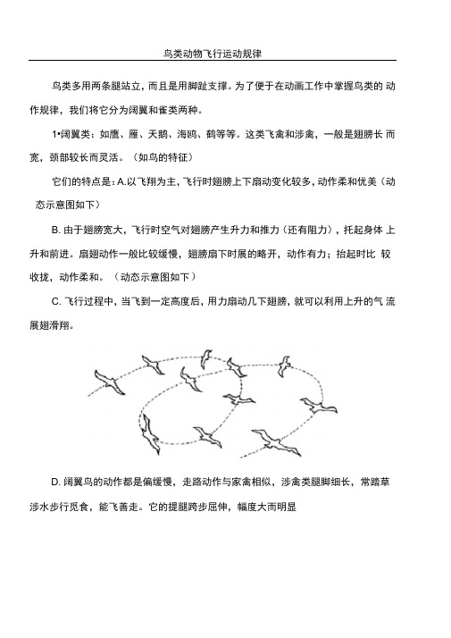 鸟类动物飞行运动规律