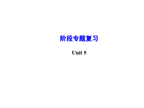 八年级英语下册 Unit 5 What were you doing when the rainstorm came阶段专题复习课件 