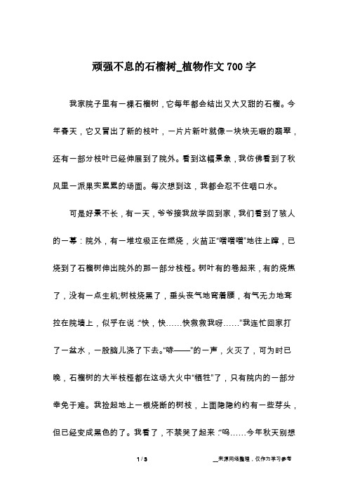 顽强不息的石榴树_植物作文700字