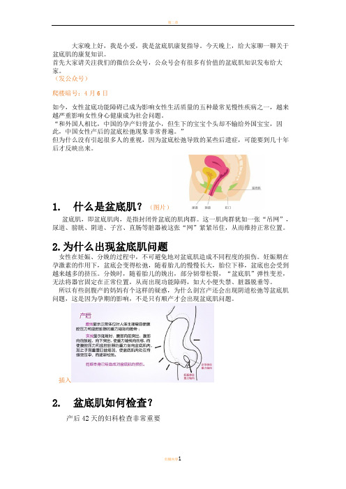 盆底肌康复知识讲座