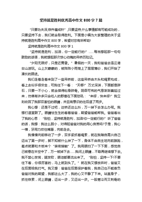 坚持就是胜利优秀高中作文800字7篇