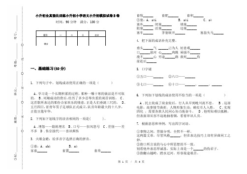 小升初全真强化训练小升初小学语文小升初模拟试卷B卷
