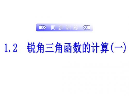 2019-2020年浙教版九年级下册数学训练课件：1.2  锐角三角函数的计算(一)