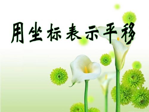 人教版 平移 PPT教学课件4