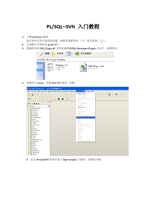 PLSQL-SVN入门教程