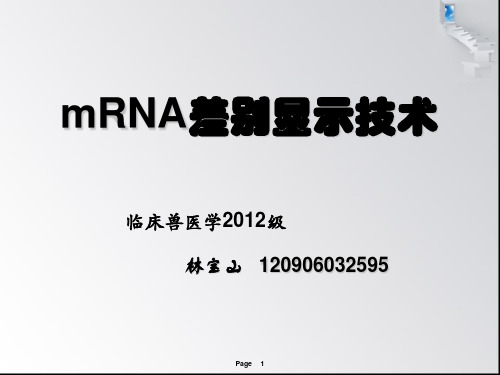 mRNA差异显示技术解读