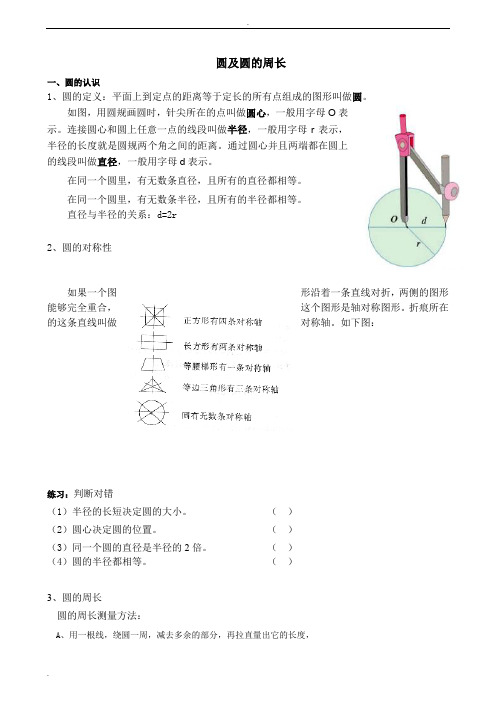 六年级圆的周长和面积