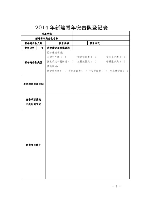 2014年青年突击队登记表