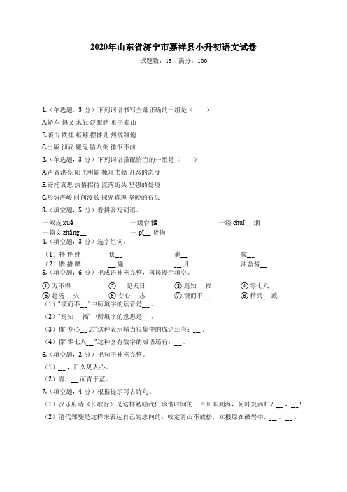 2020年山东省济宁市嘉祥县小升初语文试卷