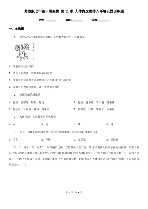 苏教版七年级下册生物 第11章 人体内废物排入环境巩固训练题