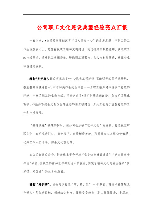 公司职工文化建设典型经验亮点汇报