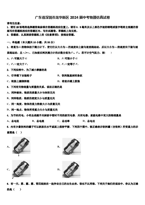 广东省深圳市龙华新区2024届中考物理仿真试卷含解析