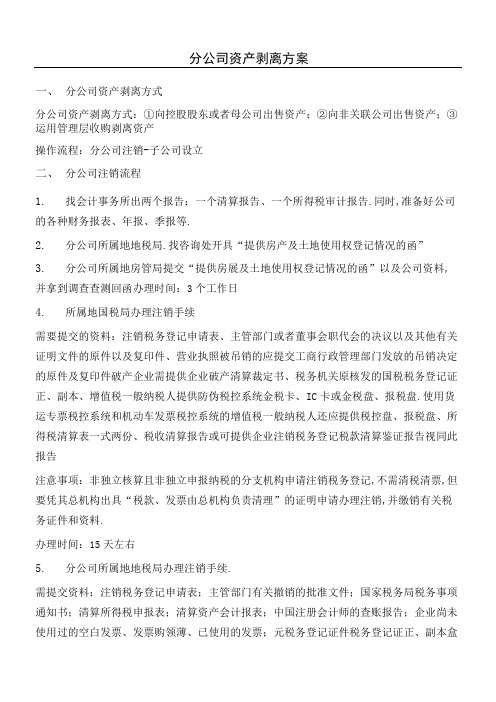 分公司资产剥离方案