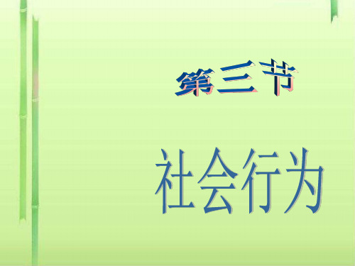 社会行为PPT课件10 人教版