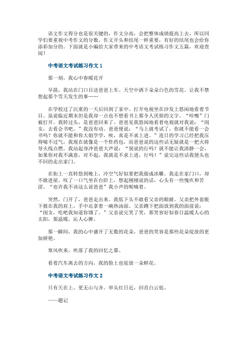 中考语文考试练习作文