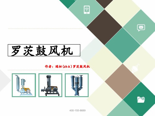 罗茨鼓风机原理及常见故障处理页PPT文档