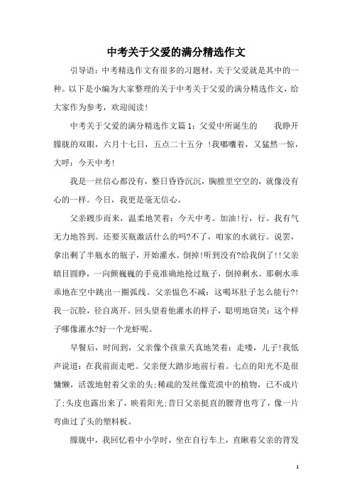 中考关于父爱的满分精选作文