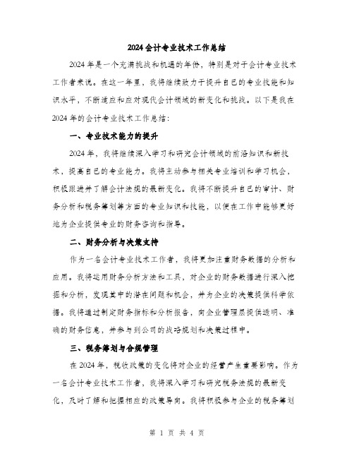 2024会计专业技术工作总结(2篇)