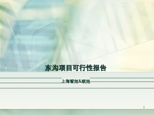 精品文案-2019年盐城市阜宁东沟项目可行性报告-文档资料