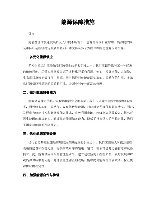 能源保障措施