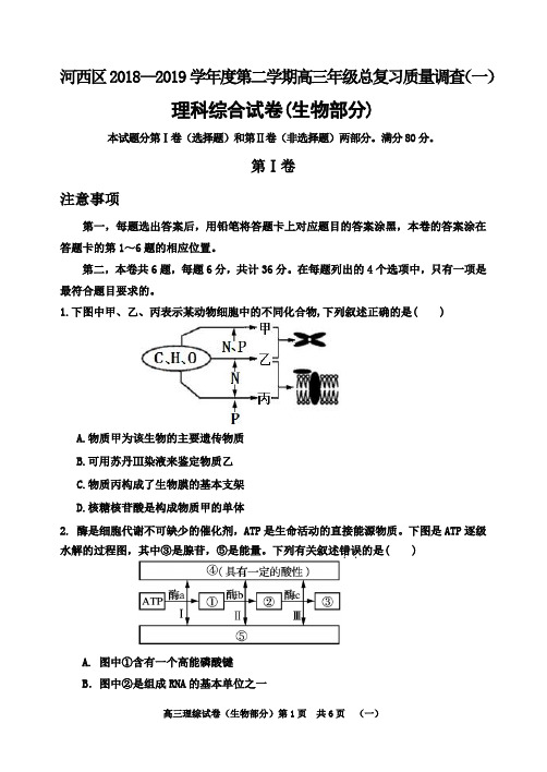 天津市河西区2019届高三下学期一模考试生物试题+PDF版